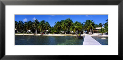 View Of Beachfront From Pier, Caye Caulker, Belize by Panoramic Images Pricing Limited Edition Print image