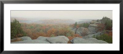 High Angle View Of A Forest, Shawnee Forest, Illinois, Usa by Panoramic Images Pricing Limited Edition Print image