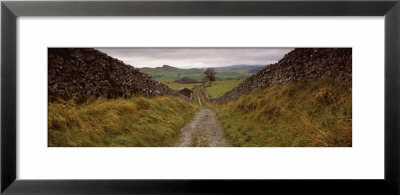 Long Pathway On A Landscape, Smearsett Scar, Yorkshire, England, United Kingdom by Panoramic Images Pricing Limited Edition Print image