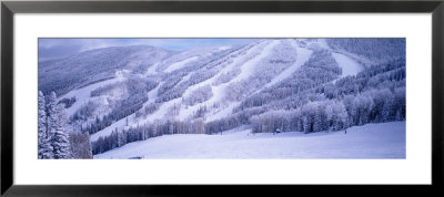 Mountains, Snow, Steamboat Springs, Colorado, Usa by Panoramic Images Pricing Limited Edition Print image