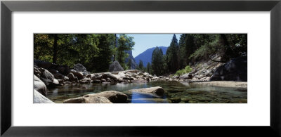 Mountain Behind Pine Trees, Tenaya Creek, Yosemite National Park, California, Usa by Panoramic Images Pricing Limited Edition Print image