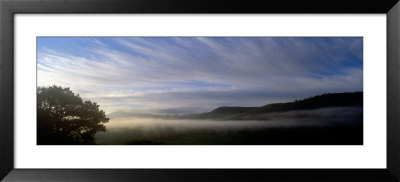 Silhouette Of A Tree, Keswick, Lake District, England, United Kingdom by Panoramic Images Pricing Limited Edition Print image
