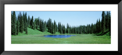 Pond, Alaska, Usa by Panoramic Images Pricing Limited Edition Print image