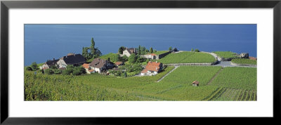 Aerial View Of Vineyards By A Lake, Lake Geneva, Vaud, Switzerland by Panoramic Images Pricing Limited Edition Print image