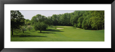 Trees On A Golf Course, Baltimore Country Club, Baltimore, Maryland, Usa by Panoramic Images Pricing Limited Edition Print image