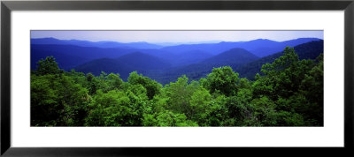 Smoky Mountain National Park, Tennessee, Usa by Panoramic Images Pricing Limited Edition Print image