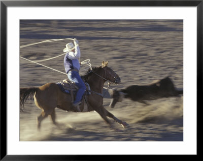 Cowboy Rides Horse In Calf-Roping Rodeo Competition, Big Timber, Montana, Usa by John & Lisa Merrill Pricing Limited Edition Print image