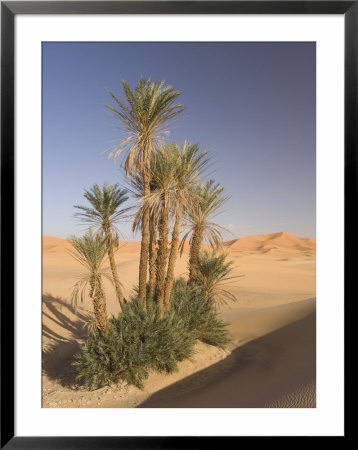Erg Chebbi, Merzouga, Sahara Desert, Morocco, North Africa, Africa by Gavin Hellier Pricing Limited Edition Print image