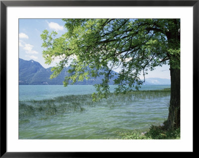 Lac Du Bourget, Near Aix Les Bains, Rhone Alpes, France by Michael Busselle Pricing Limited Edition Print image