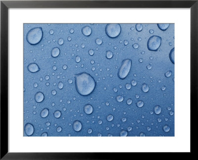 A Close-Up Of Water Droplets On A Surface by Todd Gipstein Pricing Limited Edition Print image