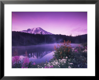 Reflection Lake With Summer Alpine Wildflowers, Mt. Rainier National Park, Washington, Usa by Stuart Westmoreland Pricing Limited Edition Print image