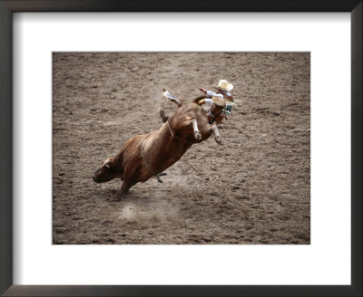 Man Bullriding At Cheyenne Frontier Days Rodeo, Cheyenne, Wyoming by Holger Leue Pricing Limited Edition Print image