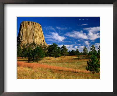 Devil's Tower National Monument, Devils Tower National Monument, Wyoming, Usa by Carol Polich Pricing Limited Edition Print image