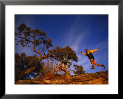 A Trail-Runner Near Dolores, Colorado by Bill Hatcher Pricing Limited Edition Print image