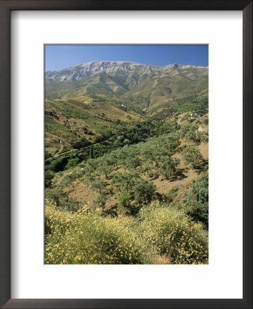 Landscape Near Competa, Malaga, Andalucia, Spain by Michael Busselle Pricing Limited Edition Print image