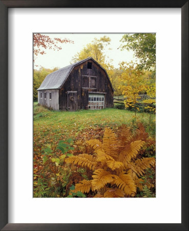 Barn And Fall Colors Near Jericho Center, Vermont, Usa by Darrell Gulin Pricing Limited Edition Print image