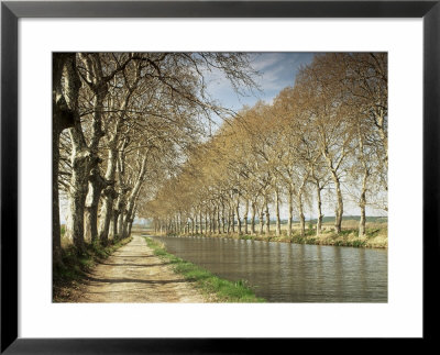 The Canal Du Midi, Near Capestang, Languedoc Roussillon, France by Michael Busselle Pricing Limited Edition Print image