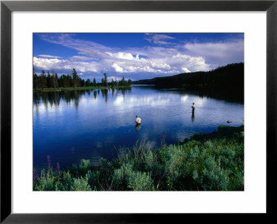 Fly Fishing In Yellowstone River, Yellowstone National Park, Usa by John Elk Iii Pricing Limited Edition Print image