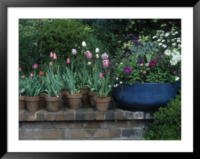Spring Flowers And Tulips In Pots by Charles Benes Pricing Limited Edition Print image