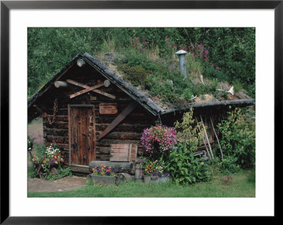 Kantishna Recorders Office, Denalia National Park, Alaska, Usa by Dee Ann Pederson Pricing Limited Edition Print image