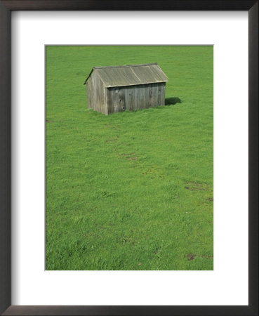 Spring Greenery And A Wooden Barn by Rich Reid Pricing Limited Edition Print image