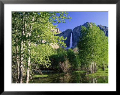 Yosemite Falls, Spring Time, Ca by Inga Spence Pricing Limited Edition Print image