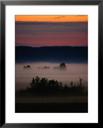 Mist Over Countryside, Calgary, Canada by Rick Rudnicki Pricing Limited Edition Print image