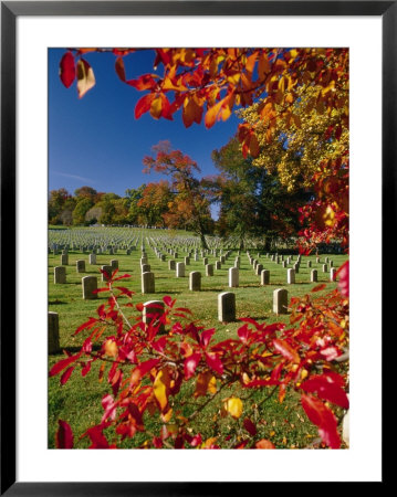 Autumnal View Of Arlington National Cemetery by Richard Nowitz Pricing Limited Edition Print image