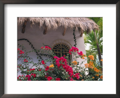 Bougenvilla Blooms Underneath A Thatch Roof, Puerto Vallarta, Mexico by John & Lisa Merrill Pricing Limited Edition Print image