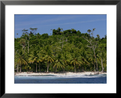 Heavily Palm-Tree Forested Mentawai Islands, Indonesia by Paul Kennedy Pricing Limited Edition Print image