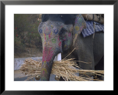 A View Of An Elephant That Works As A Taxi For Tourists At The Amber Fort by Bill Ellzey Pricing Limited Edition Print image