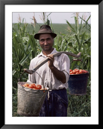 Farmer Carrying Tomatoes, Romania by Adam Woolfitt Pricing Limited Edition Print image