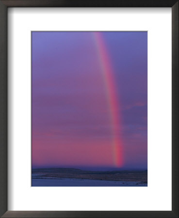 Rainbow (Television) by Norbert Rosing Pricing Limited Edition Print image
