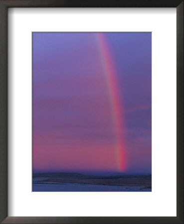 Rainbow (Television) by Norbert Rosing Pricing Limited Edition Print image
