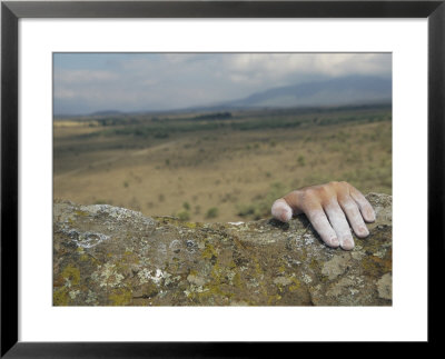 A Hand Tops A Summit In Hells Gate by Bobby Model Pricing Limited Edition Print image