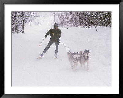 Ski Touring In Maine by Bill Curtsinger Pricing Limited Edition Print image