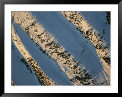 Trees Appear Like Specks On The Slopes Of A Snow-Covered Mountain by Paul Chesley Pricing Limited Edition Print image