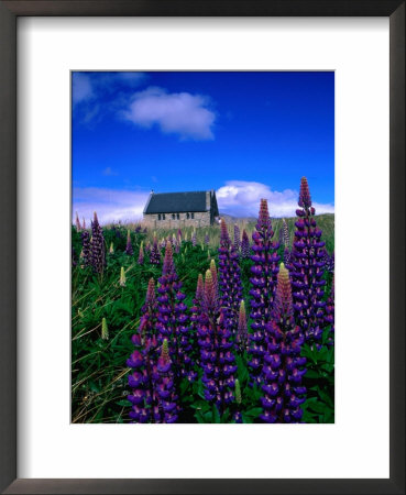 Wildflowers Near The Church Of The Good Shepherd, Lake Tekapo, Canterbury, New Zealand by David Wall Pricing Limited Edition Print image