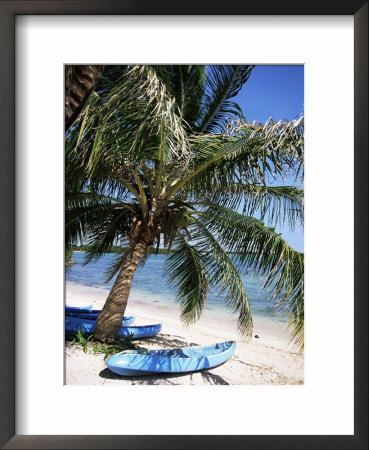 Beach With Palm Tree And Kayak, Punta Soliman, Mayan Riviera, Yucatan Peninsula, Mexico by Nelly Boyd Pricing Limited Edition Print image