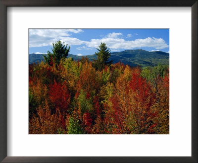 White Mountains National Forest, New Hampshire, New England, Usa by Fraser Hall Pricing Limited Edition Print image