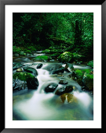 Liwagu River At Kinabalu National Park, Sabah, Malaysia by Mark Daffey Pricing Limited Edition Print image