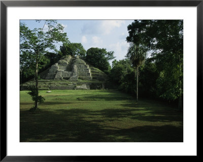 The Jaguar Temple At The Lamanai Archeological Preserve In Belize by Stephen Alvarez Pricing Limited Edition Print image