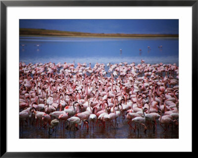 Flamingoes At Ngorongoro Crater., Ngorongoro Conservation Area, Arusha, Tanzania by Greg Elms Pricing Limited Edition Print image