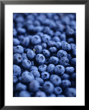 Blueberries (Filling The Picture) by David Loftus Pricing Limited Edition Print image