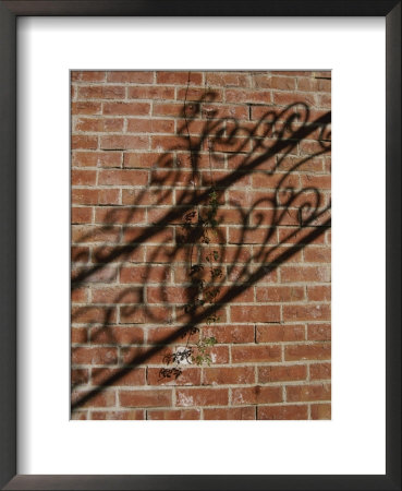 Shadow Patterns Of A Lone Vine And A Wrought Iron Fence Across A Wall by Stephen St. John Pricing Limited Edition Print image