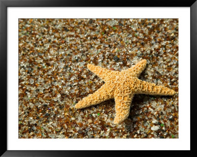 Glass Beach With Star Fish, Kauai, Hawaii, Usa by Terry Eggers Pricing Limited Edition Print image