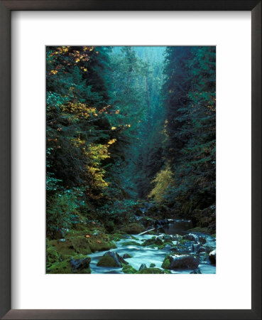 North Fork Of Santiam River, Central Oregon Cascades, Usa by Janis Miglavs Pricing Limited Edition Print image