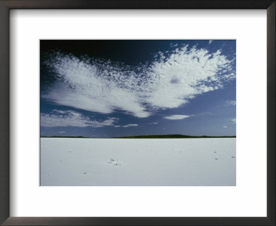 High Clouds Form Above The Dry Salt Lake by Jason Edwards Pricing Limited Edition Print image