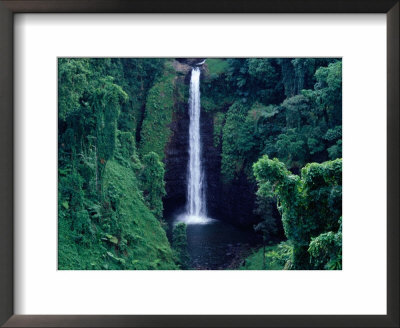 Sopo'aga Falls Dropping 50M Into Gorge, Upolu, Samoa, Upolu by Tony Wheeler Pricing Limited Edition Print image