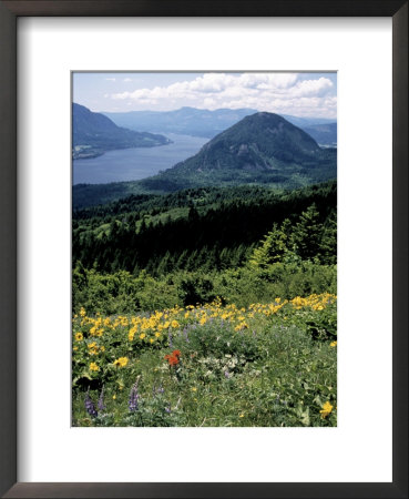 Columbia River Gorge, Gifford Pinchot Nf, Wa by Bob Leroy Pricing Limited Edition Print image